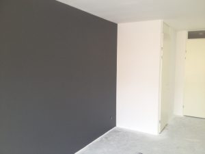 renovatievlies, renovlies, glasvlies, glasweefsel, behangen, behanger amsterdam, behanger purmerend, behanger nederland, behanger noord holland, behangen renovlies, behangen glasvlies, behangen glasweefsel, glasvlies behangen, renovlies behangen,renovatievlies behangen, stucadoor, stucadoor amsterdam, stucadoor purmerend, kapwanden behangen, kapwanden afwerken, zolder behangen, zolder schilderen