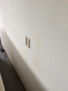 glasweefselrenovatievlies, renovlies, glasvlies, glasweefsel, behangen, behanger amsterdam, behanger purmerend, behanger nederland, behanger noord holland, behangen renovlies, behangen glasvlies, behangen glasweefsel, glasvlies behangen, renovlies behangen,renovatievlies behangen, stucadoor, stucadoor amsterdam, stucadoor purmerend, kapwanden behangen, kapwanden afwerken, zolder behangen, zolder schilderen
